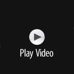 Astral BirdDog Canine PFD -Colorado Kayak Shop VideoPlay grande dc3de37a 0559 495c 91aa 9a57b5881896
